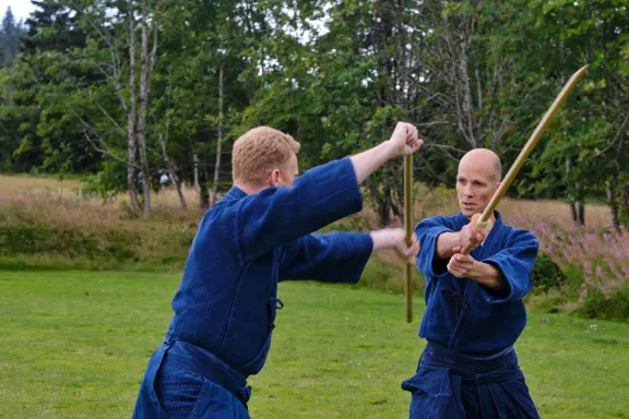 Ran-ai door Christiaan Zandt en Jan Gerrit Post