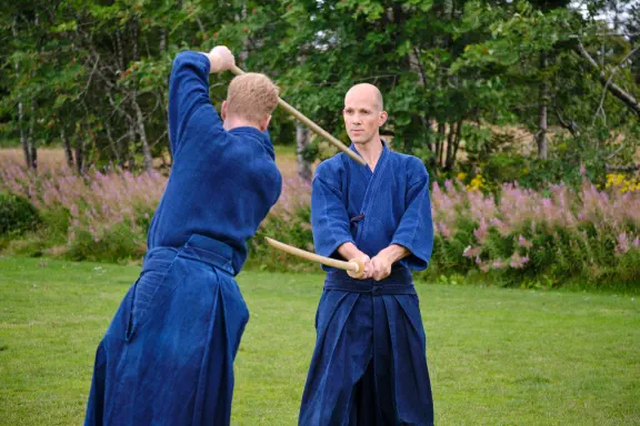 Ran-ai door Christiaan Zandt en Jan Gerrit Post