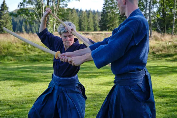 Ran-ai door Hilde Schmidt en Jan Gerrit Post
